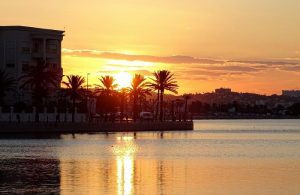 Sous le soleil de juillet : Tunisie, brûlante et vivante