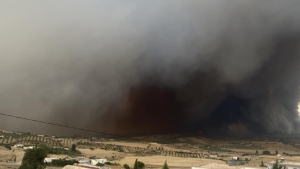 El Fahs : Déclenchement d’un incendie dans la zone forestière de Telil Essalhi et Debidiba