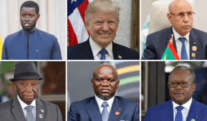Trump a invité à déjeuner cinq présidents africains à la Maison Blanche.