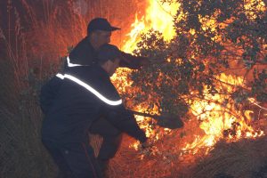 Protection civile : 149 feux contrôlés en l’espace de 24 heures.