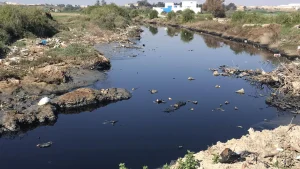 Nabeul : des mesures pour limiter le déversement des eaux usées industrielles
