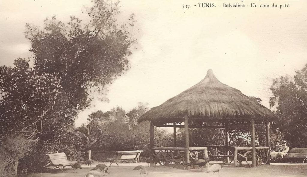 Parc du Belvédère