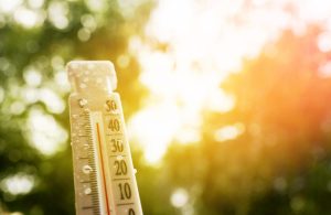 Canicule : sept villes tunisiennes parmi les endroits les plus chauds au monde