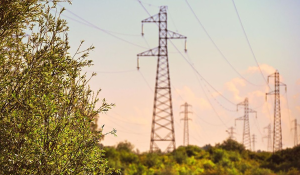 Tunisie : la demande d’électricité explose de 30 % et le délestage coûte cher à l’économie