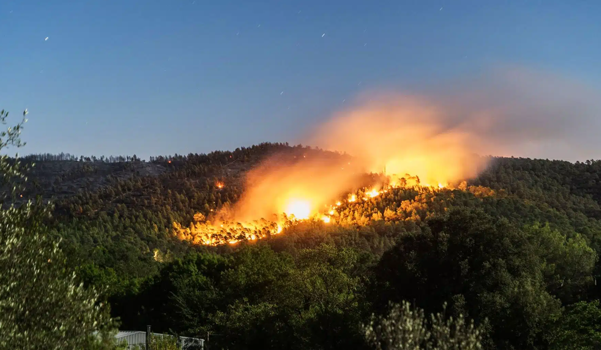 incendies-foret