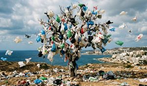 La Tunisie veut interdire les sacs plastiques à usage unique… pour la troisième fois depuis 2017